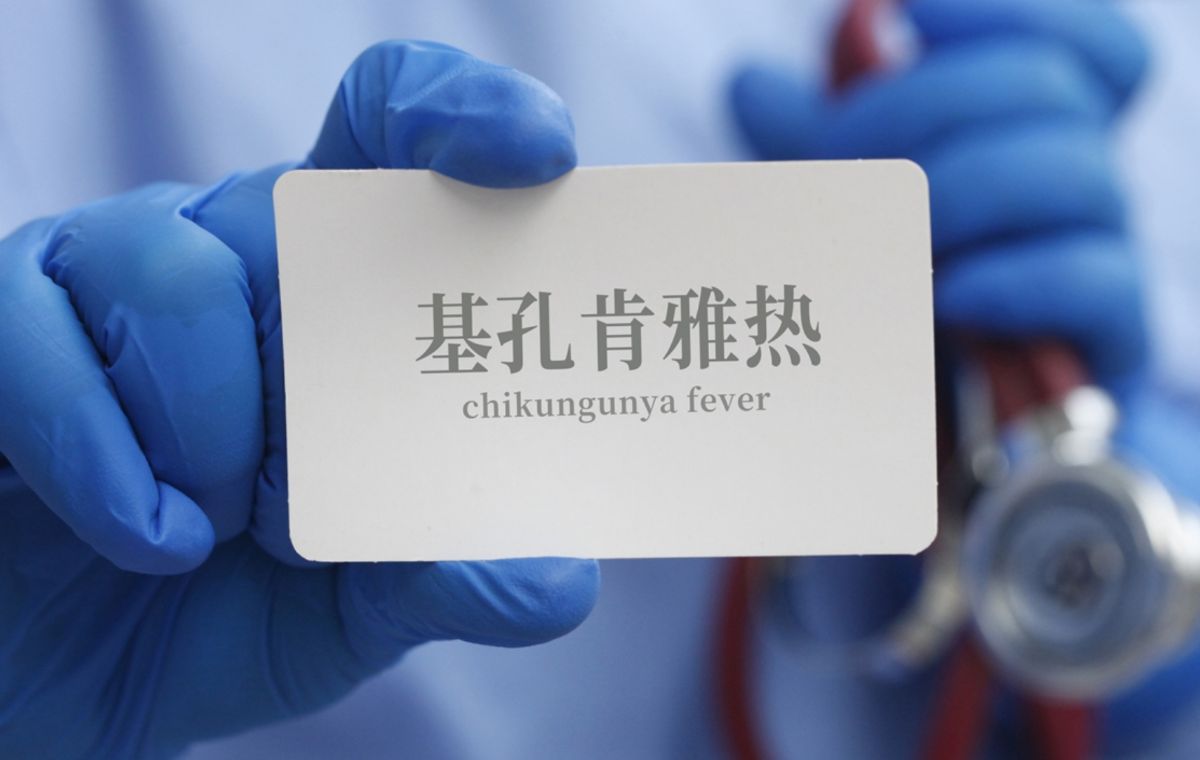 중국의 치쿤구니야열 바이러스 유행 경고. 사진: 신화통신