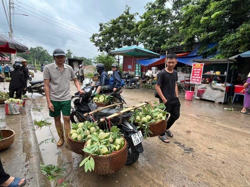 8월 초 랑선 설탕 시럽 시장은 활기가 넘칩니다. 사진: Hoang Tinh
