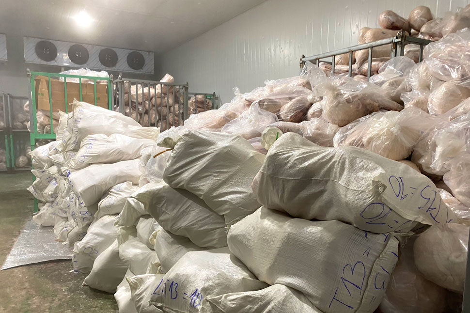 All 100 tons of pork in Mr. Huong's warehouse are of unknown origin. Photo: Nguyen Chon