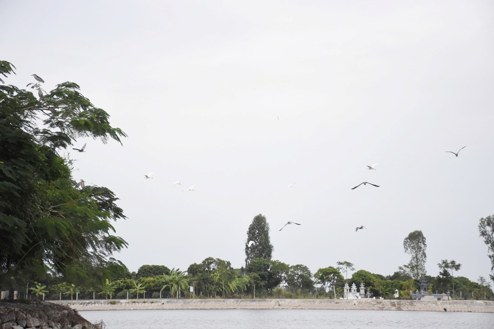 Co Island Eco-tourism Area is attractive with beautiful natural landscapes and fresh space. Photo: Mai Dung