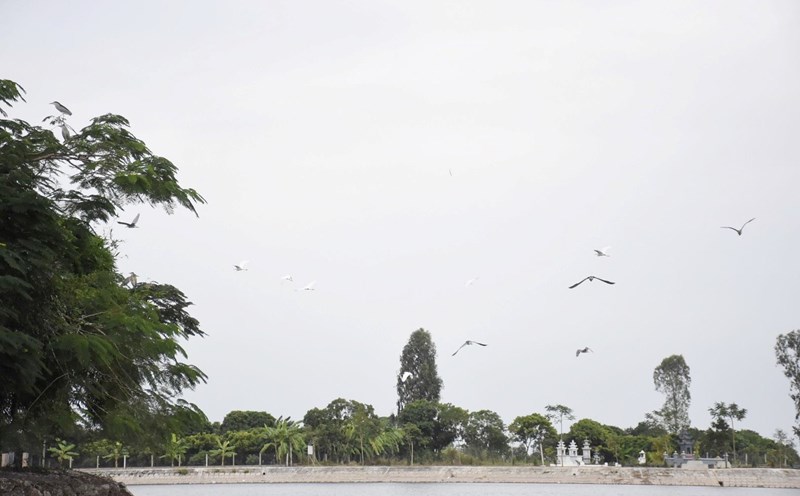 Co Island Eco-tourism Area is attractive with beautiful natural landscapes and fresh space. Photo: Mai Dung
