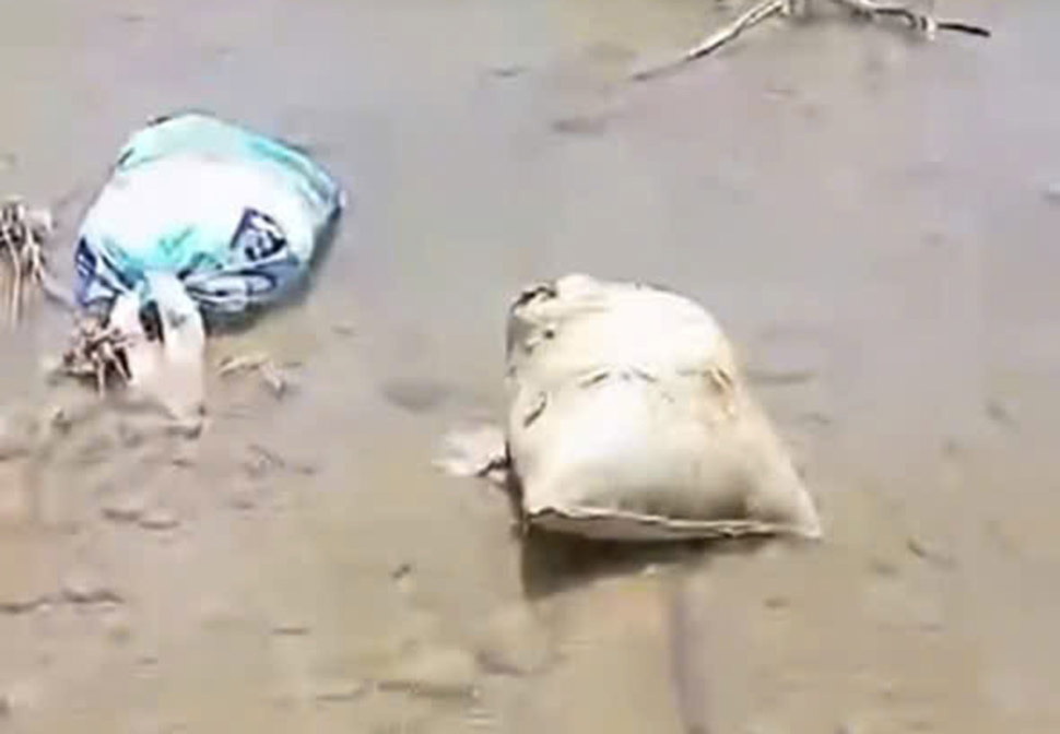 Sacks containing dead pigs floating on the Ngan Pho River in Son Kim 2 Commune. Photo: Xuan Hong.
