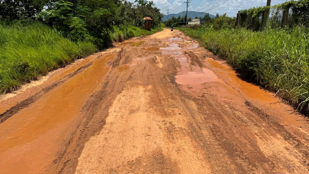 ルートは損傷し、深刻に劣化しており、ラムドンの数百世帯の旅行と生産に影響を与えています。写真：ドゥイ・トゥアン