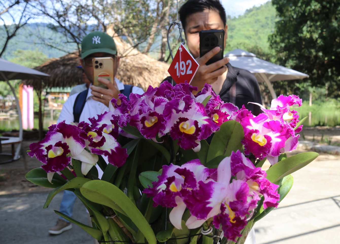 Du khach den Yang Bay dip nay tranh thu luu lai nhung hinh anh dep ben nhung gio lan. Anh: Phuong Linh