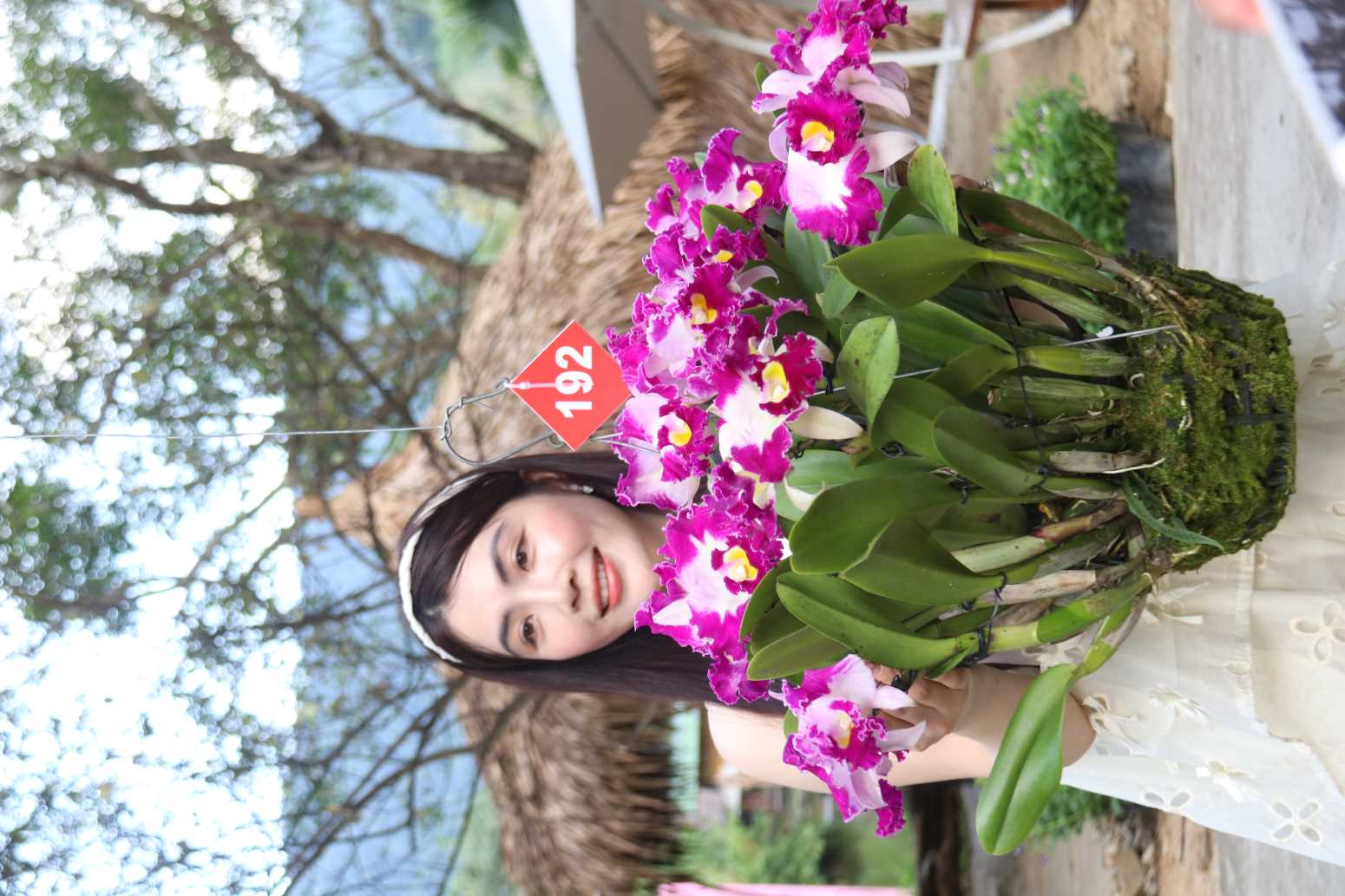 Tac pham dat giai dac biet nhom lan Cattleya voi 26 bong hoa no ruc va duoc chu nhan cham soc trong 6 nam qua. Anh: Phuong Linh