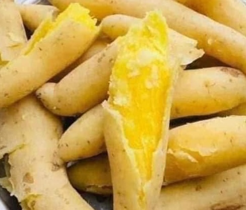 Sweet potatoes, especially yellow sweet potatoes, are high in vitamin A, which is good for the eyes. Photo: Kieu Vu