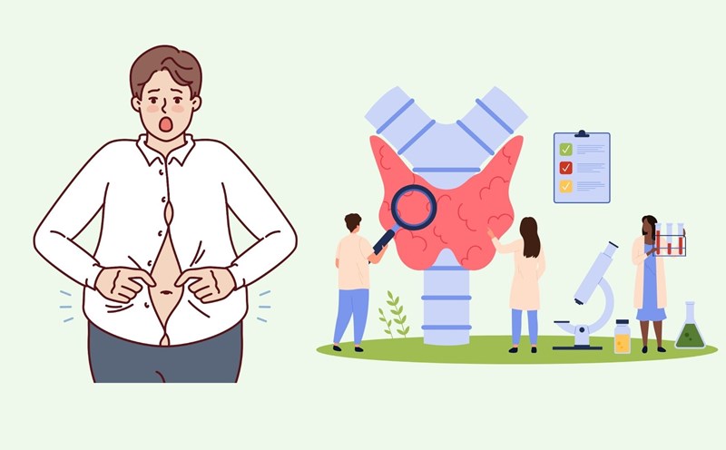 Doctors explain why many people are likely to gain weight after thyroid surgery. Graphics: Linh Dan