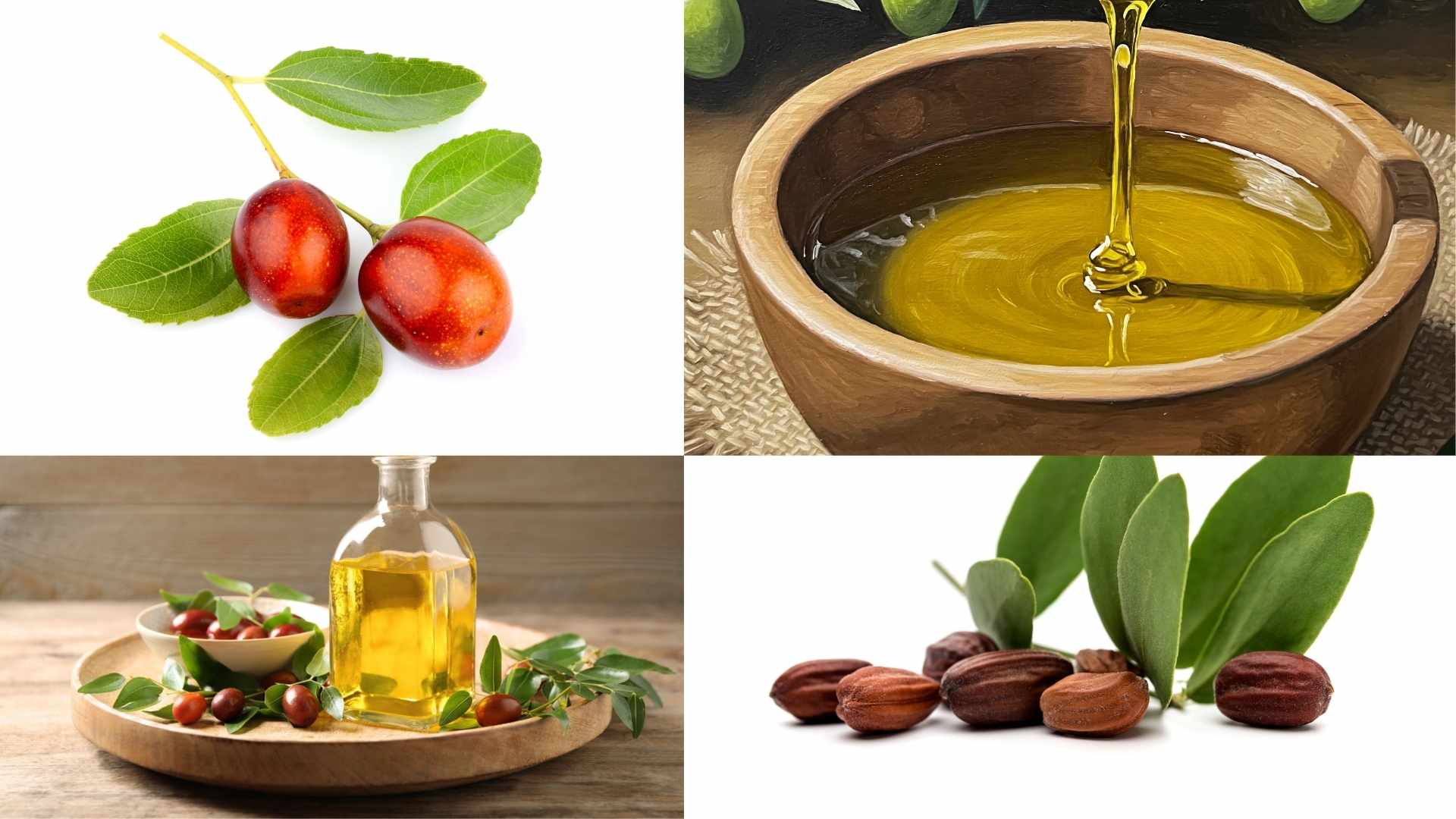 Tac dung phu can biet truoc khi dung dau jojoba. Do hoa: Minh Hoang