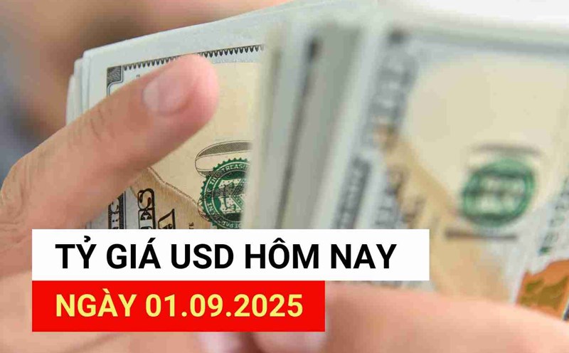 USD exchange rate today 1.9.2025.