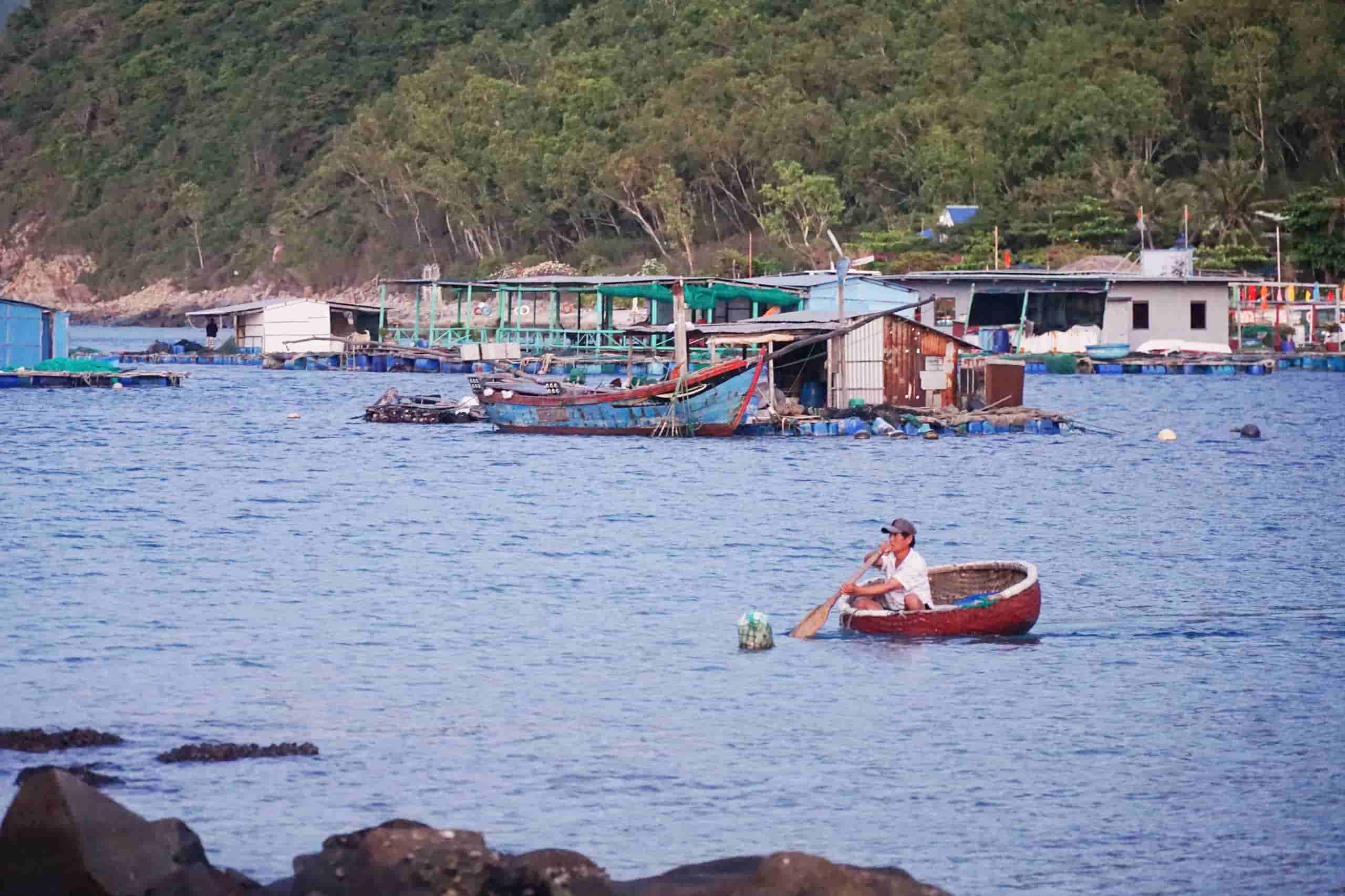 ដើម្បីទៅដល់ Bich Dam អ្នកទេសចរអាចទាក់ទងទូកនេសាទនៅកំពង់ផែលំនៅដ្ឋាន Phu Quy ដើម្បីសុំទៅជាមួយគ្នា។ រូបថត៖ ហ៊ូ ឡុង