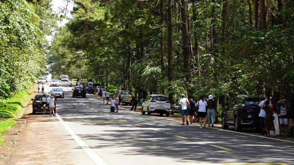 観光客は休暇中に自然を探検するためにMang Denに訪れます。写真:Thang Pham