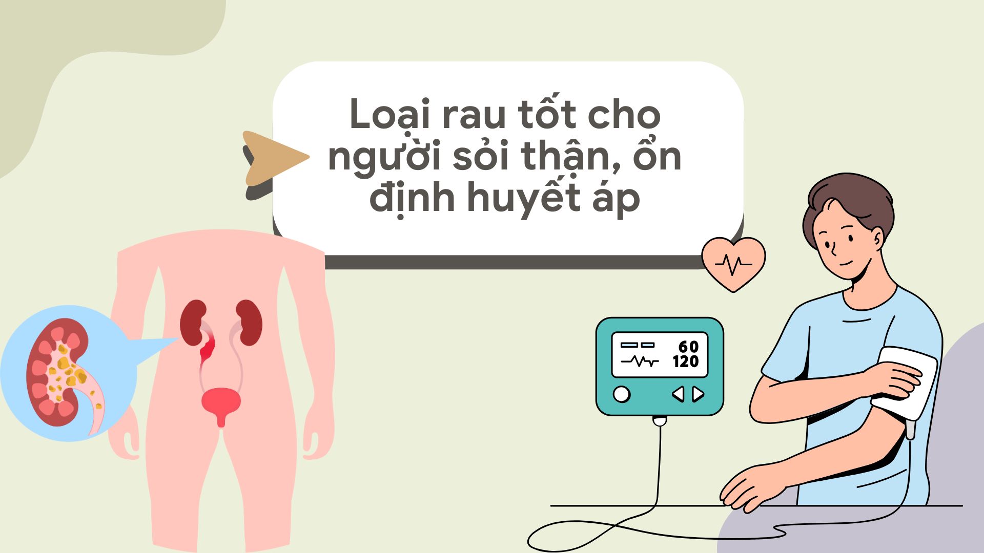 Kale, spinach... are vegetables that are very good for people with kidney stones and help stabilize blood pressure. Graphic photo: Huong Son