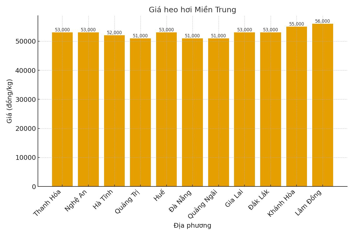 Gia heo hoi ngay 1.9 tai khu vuc mien Trung. Do hoa: Thuy Linh