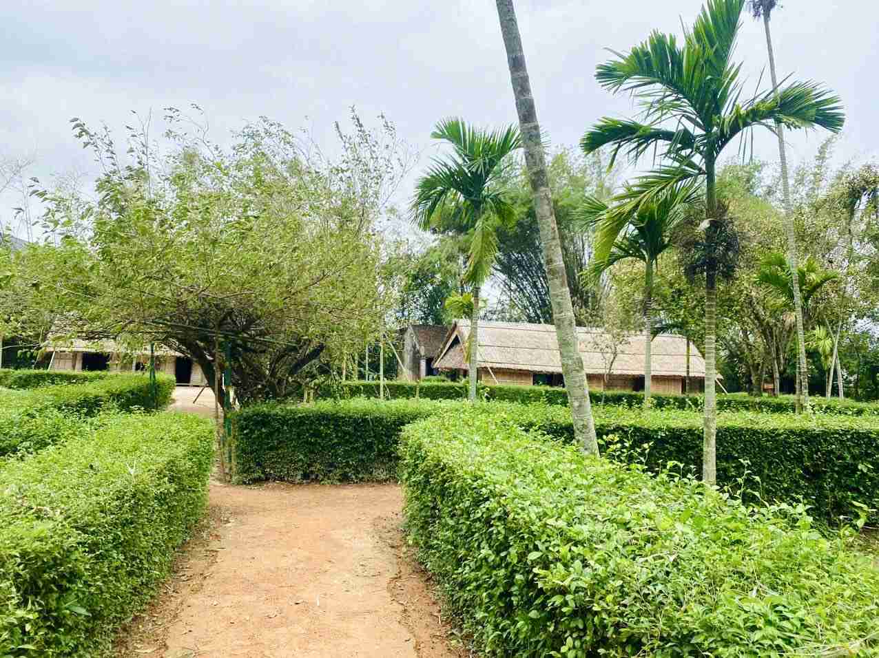 After storm No. 5, Kim Lien Special National Relic Site (Nghe An) has returned to being neat and spacious, in time to welcome visitors on the occasion of the 80th Anniversary of National Day. Photo: Phan Quy