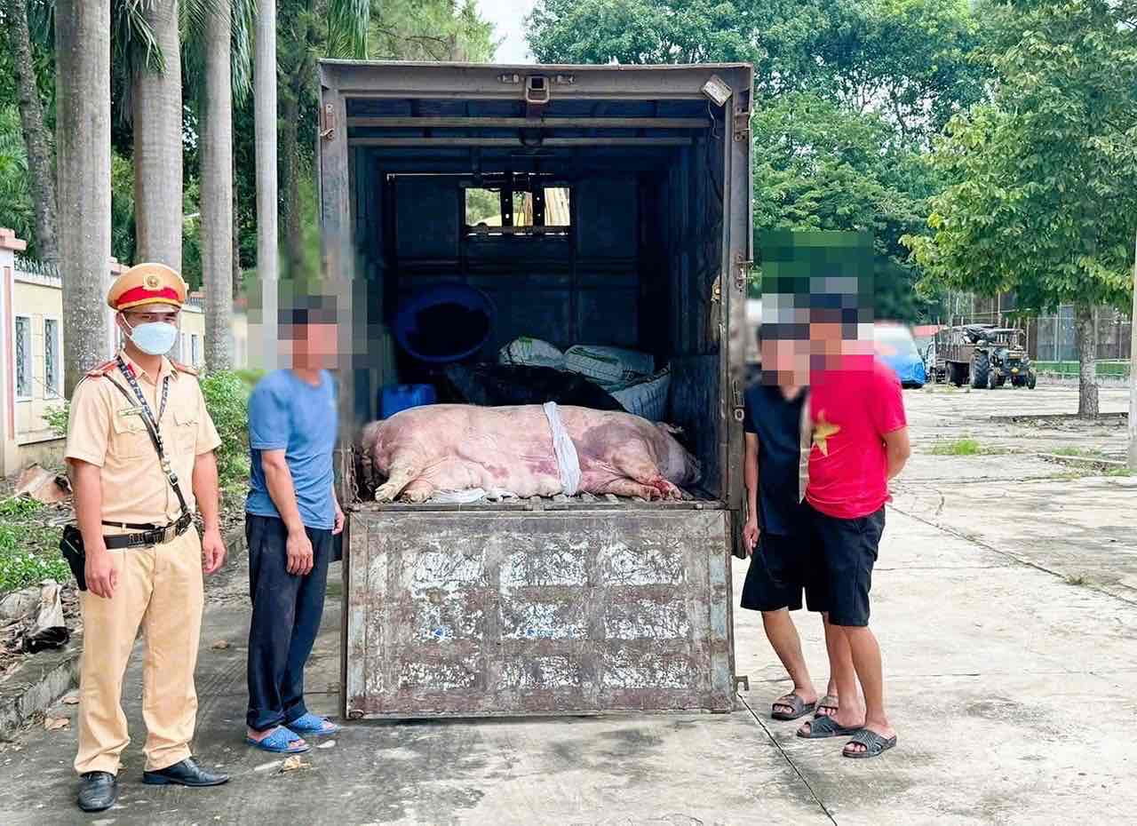 Les forces de l'ordre ont decouvert un porc mort degageant une odeur nauseabonde dans un camion. Photo : Departement de la police de la circulation Police de la province de Dong Nai