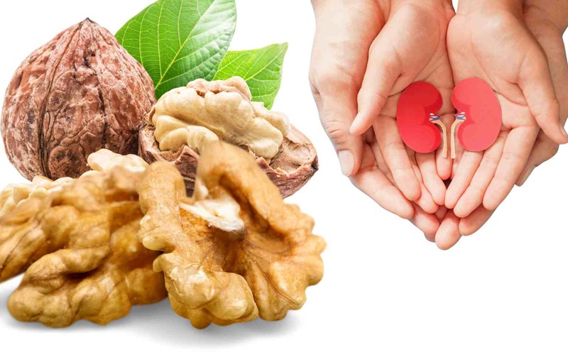Walnuts are good for the kidneys. Graphics: Ha May