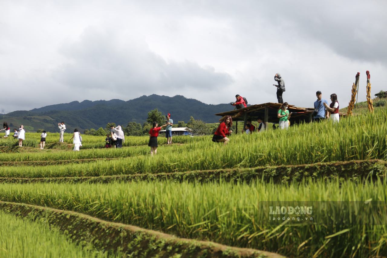 Nhieu du khach khong chon nhung diem den dong vui, nhon nhip ma lua chon chinh phuc nhung thua ruong bac thang tren lung chung nui. Anh: Van Duc.
