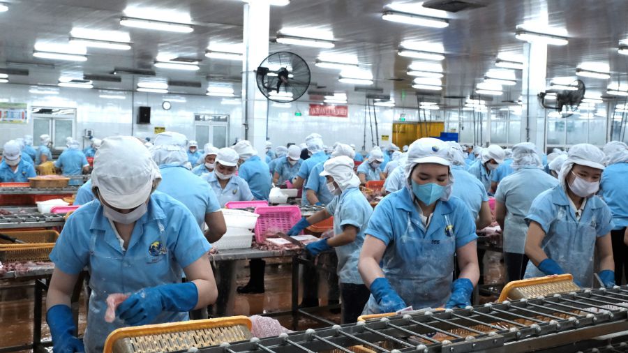 Orders are stable, workers at An Do Duong Company Limited are enthusiastic about production. Photo: My Ly