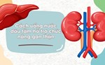 Cách uống nước dâu tằm hỗ trợ chức năng gan thận