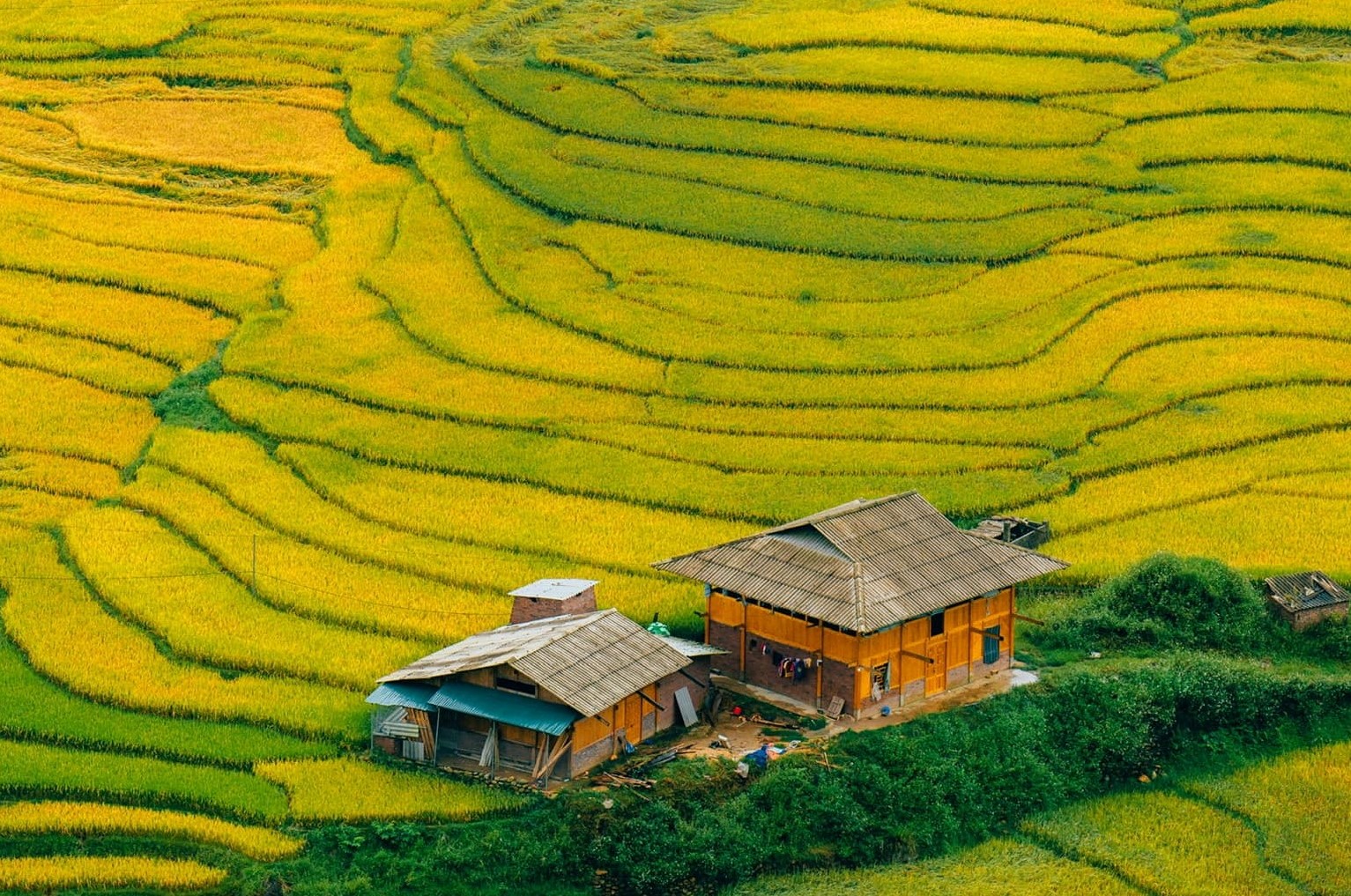 Mot trong cac diem dung chan noi bat cua Sa Pa la khu vuc Ta Van, thung lung Muong Hoa. Giua menh mong nhung dai ruong bac thang la diem xuyet cac nep nha san, homestay, choi trong lua cua nguoi dan dia phuong.