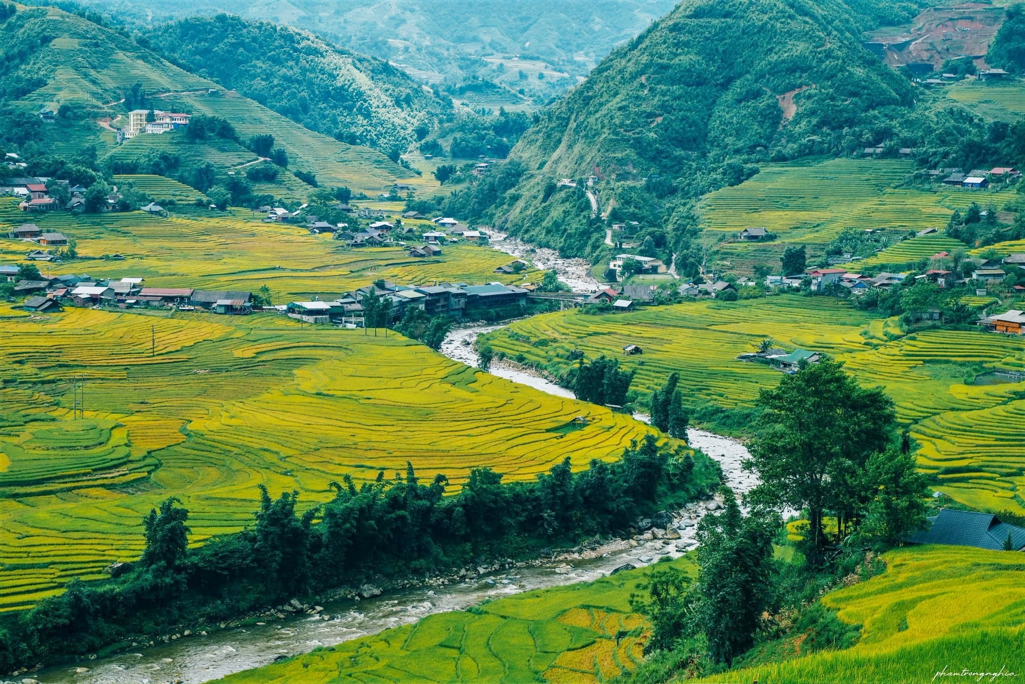 Phong canh ban Ta Van voi dong suoi Muong Hoa vao dau mua lua chin dep nhu tranh ve.