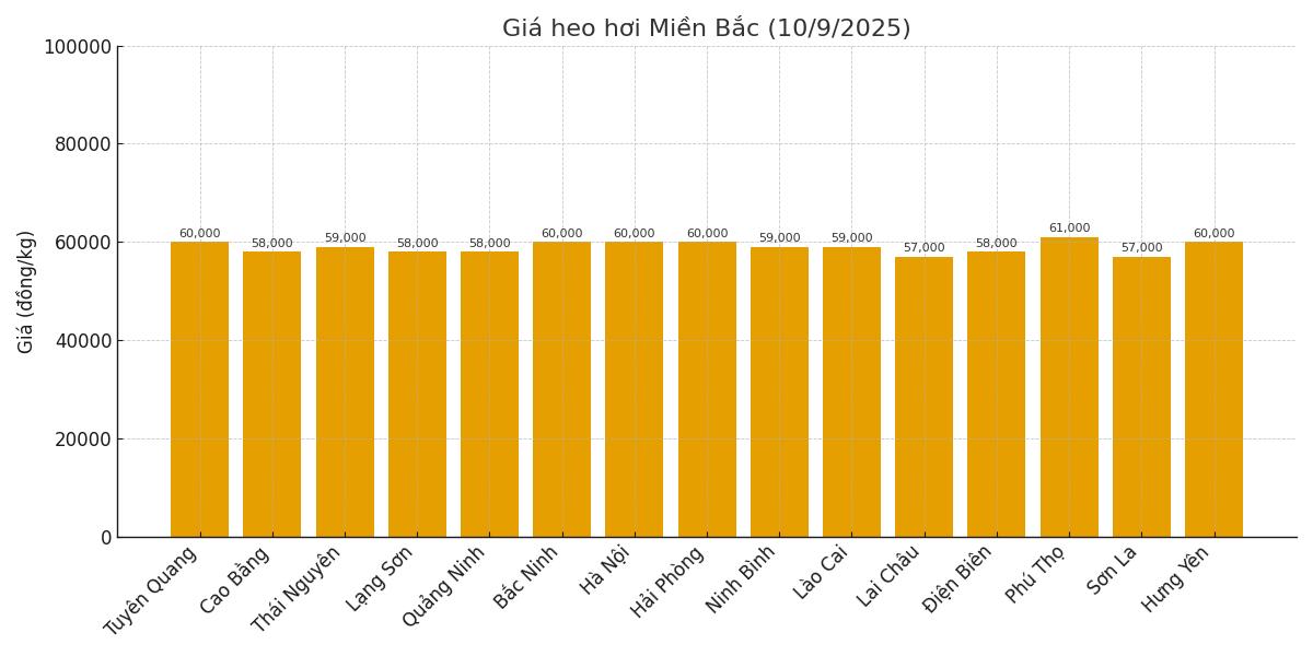 Gia heo hoi hom nay 10.9 tai mien Bac. Do hoa: Thuy Linh.