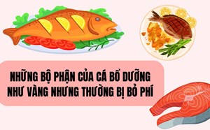 Những bộ phận của cá bổ dưỡng như vàng nhưng thường bị bỏ phí