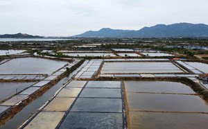 Khánh Hòa xây dựng bộ tiêu chí lựa chọn nhà đầu tư khu công nghiệp