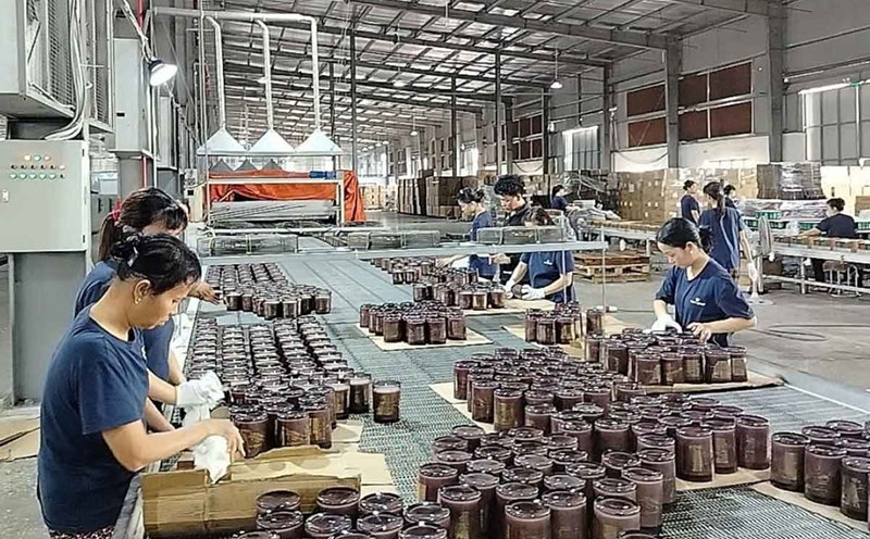 Workers and laborers working at Talent Fareast Vietnam Family Gifts Company Limited (Hoa Xa Industrial Park, Ninh Binh Province). Photo: Thanh Huyen