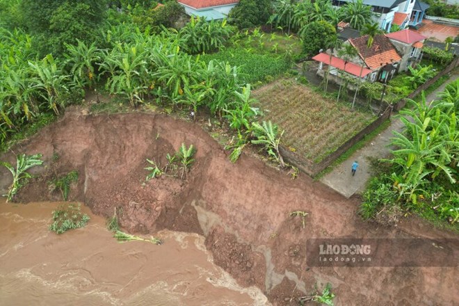 After many heavy rains and landslides on the Red River bank through Tam Nong commune, Phu Tho province, the residential area has approached. Photo: To Cong