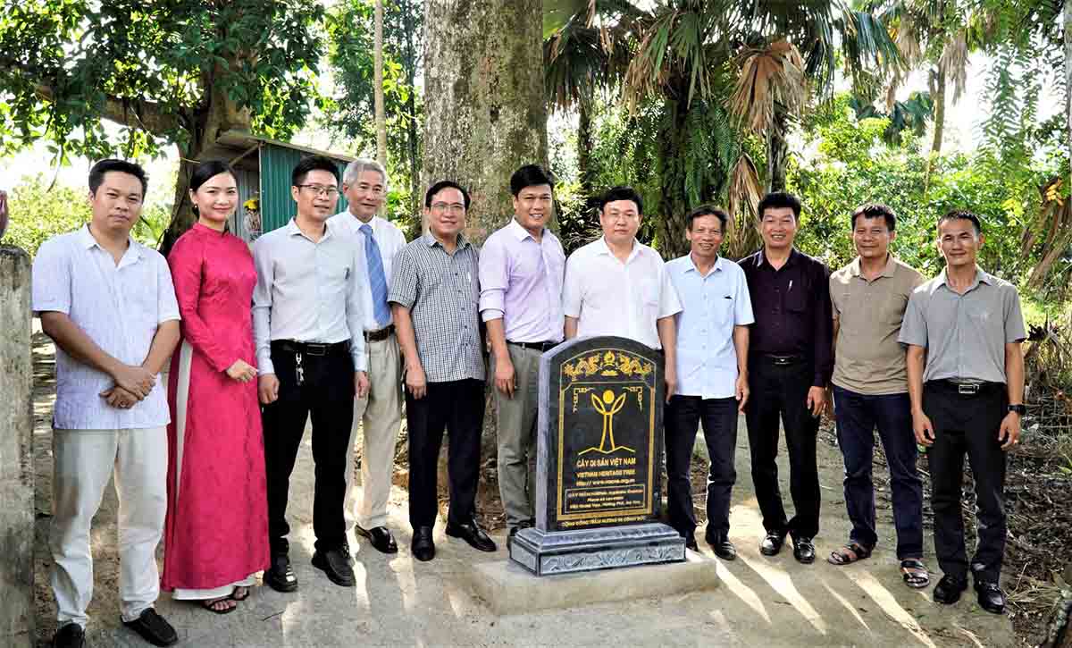 Cac dai bieu chup anh ben cay di san. Anh: Minh Xuan.