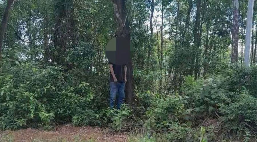 Thi thể người đàn ông được phát hiện trong tư thế treo cổ ở rừng tràm