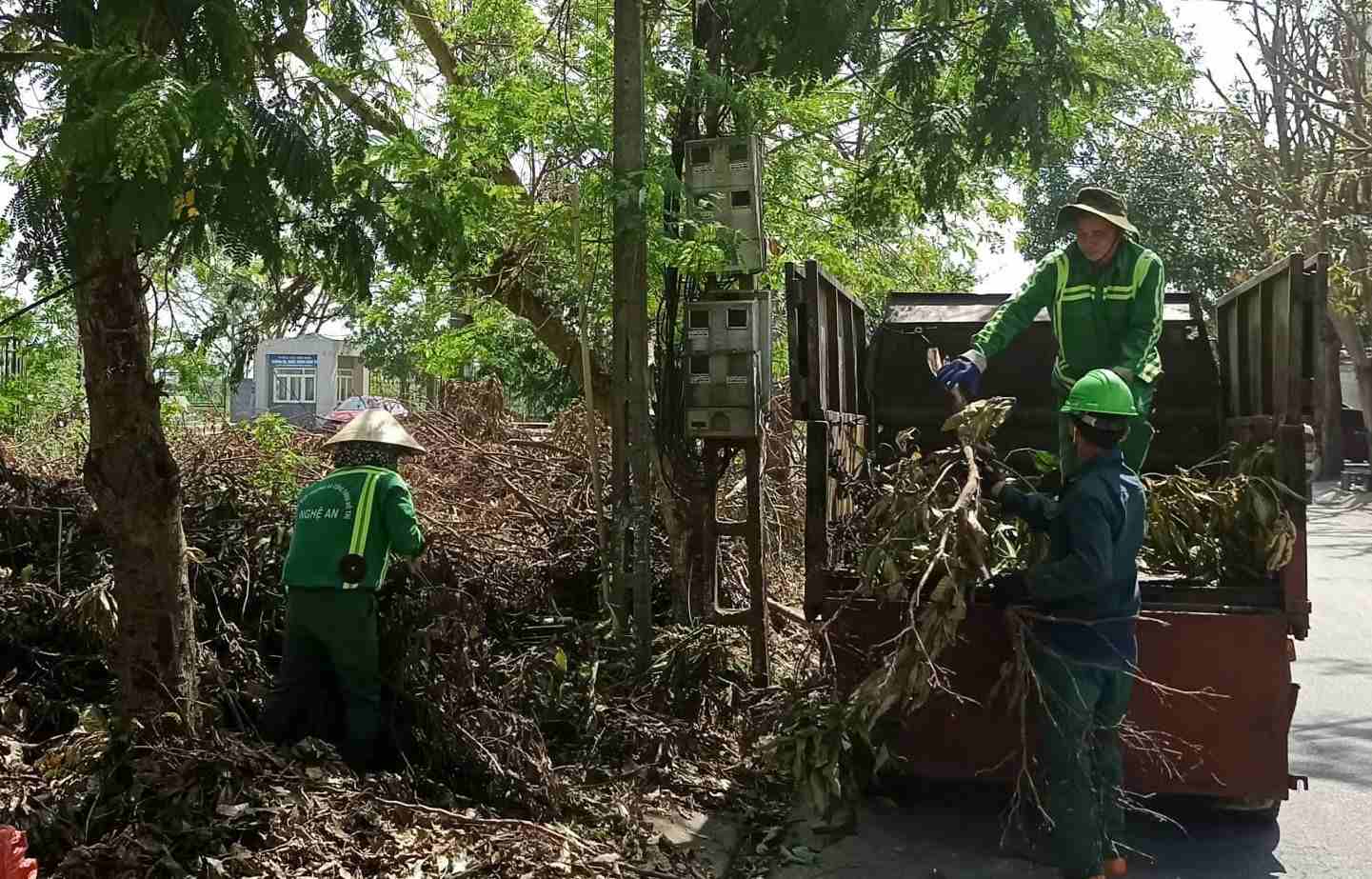 Workers of Nghe An Urban Environment and Construction Joint Stock Company are struggling with the huge amount of green waste after storm No. 5. Photo: Quang Dai
