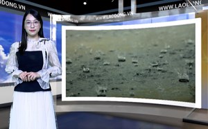 Bản tin dự báo thời tiết đêm nay và ngày mai 11.9