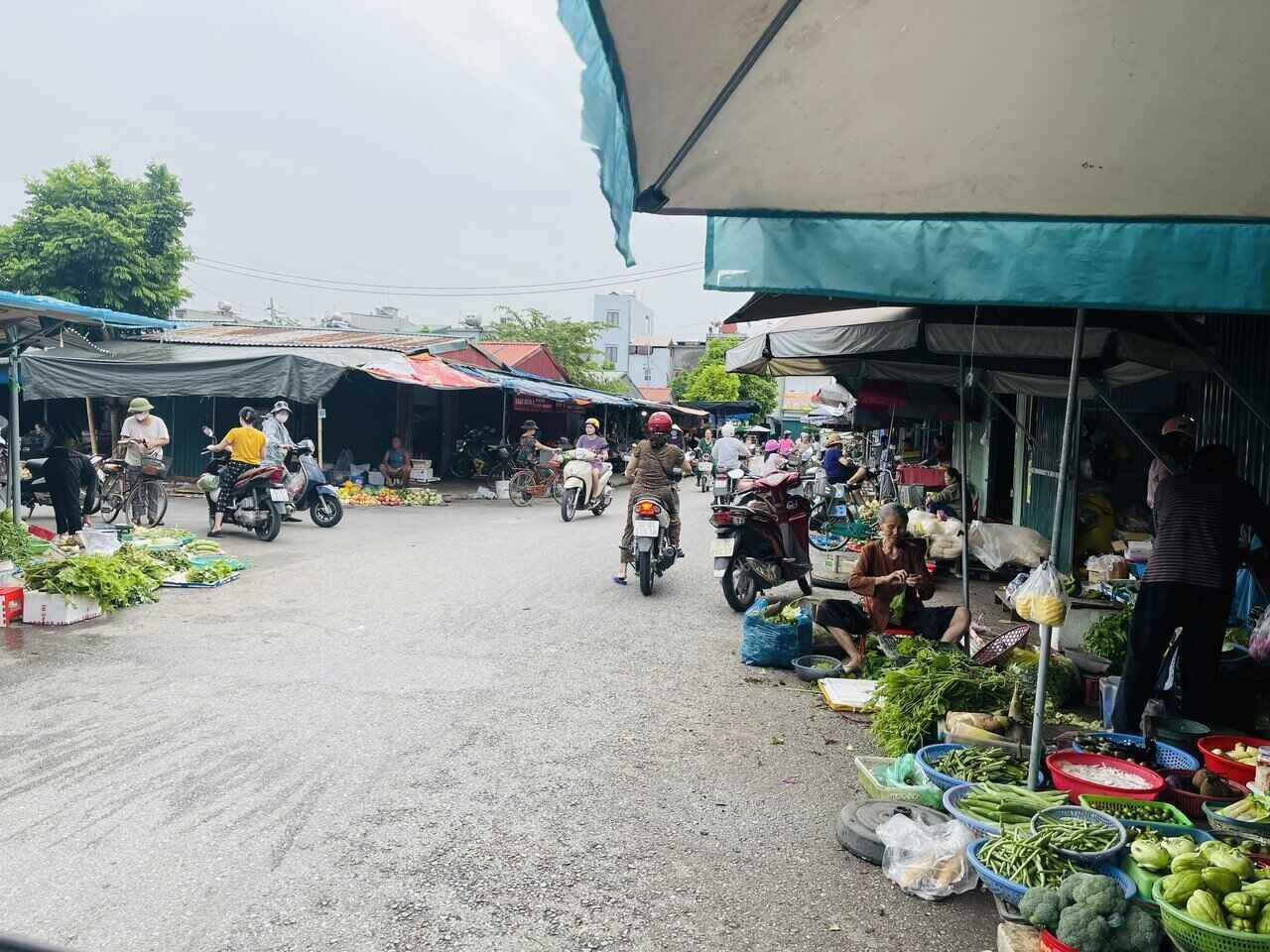 Rau xanh khan hiem, gia tang manh tai cac cho phia Tay Hai Phong. Anh: Mai Huong