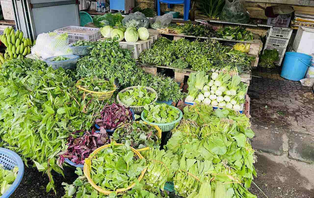 Green vegetables " scale up" at markets in the West of Hai Phong. Photo: Mai Huong