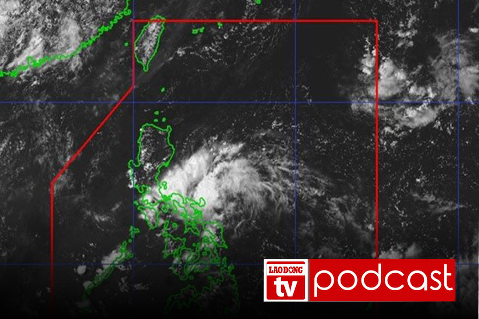 Morning news: Forecast of tropical depression and storm trends near the East Sea until the end of the week