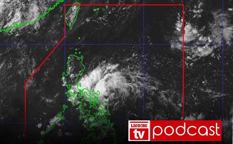 Morning news: Forecast of tropical depression and storm trends near the East Sea until the end of the week