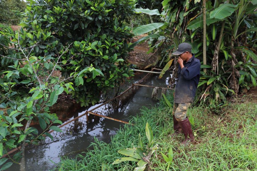 住民は豚舎からの悪臭で天を仰ぎます。写真:Lam Hong