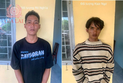 Hai thanh niên cướp giật điện thoại của người chăn bò ra đầu thú