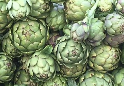 Artichoke is a herb that can effectively support visceral fat loss. Photo: Kieu Vu