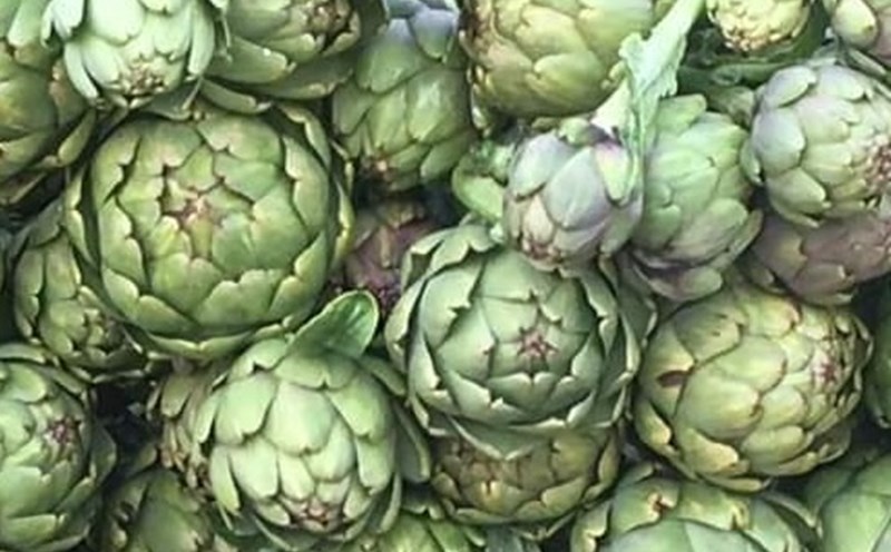 Artichoke is a herb that can effectively support visceral fat loss. Photo: Kieu Vu
