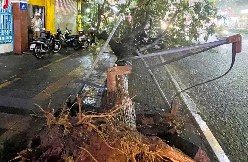 Cay xanh bat goc de xe may trong mua dong o duong Nguyen Van Linh, Da Nang. Anh: Nguoi dan cung cap