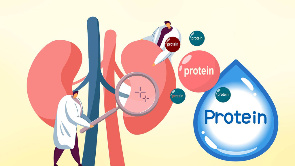 Why lean protein foods are good for kidney patients