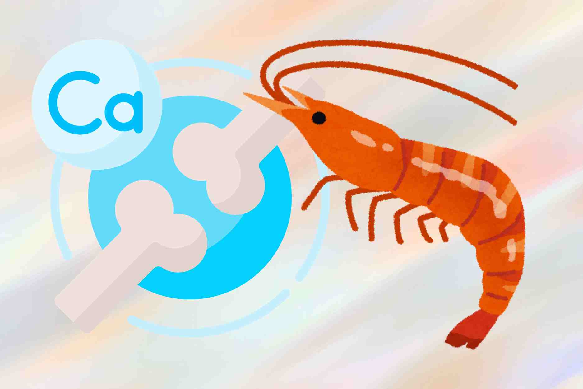 Tips on how to effectively supplement calcium from familiar shrimp dishes