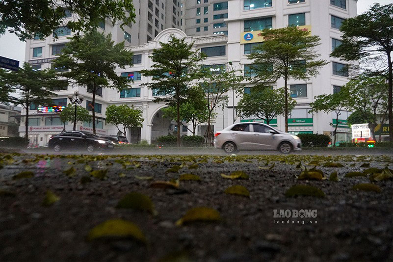 Pronostico del tiempo Hanoi chubascos dispersos lluvia torrencial clima caluroso. Foto: Tung Giang