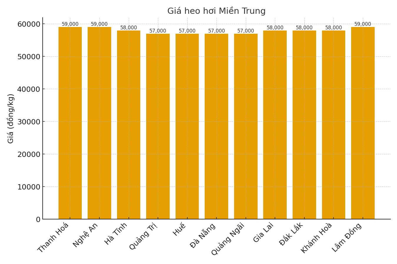 Gia heo hoi hom nay 11.9 tai mien Trung. Do hoa: Thuy Linh.