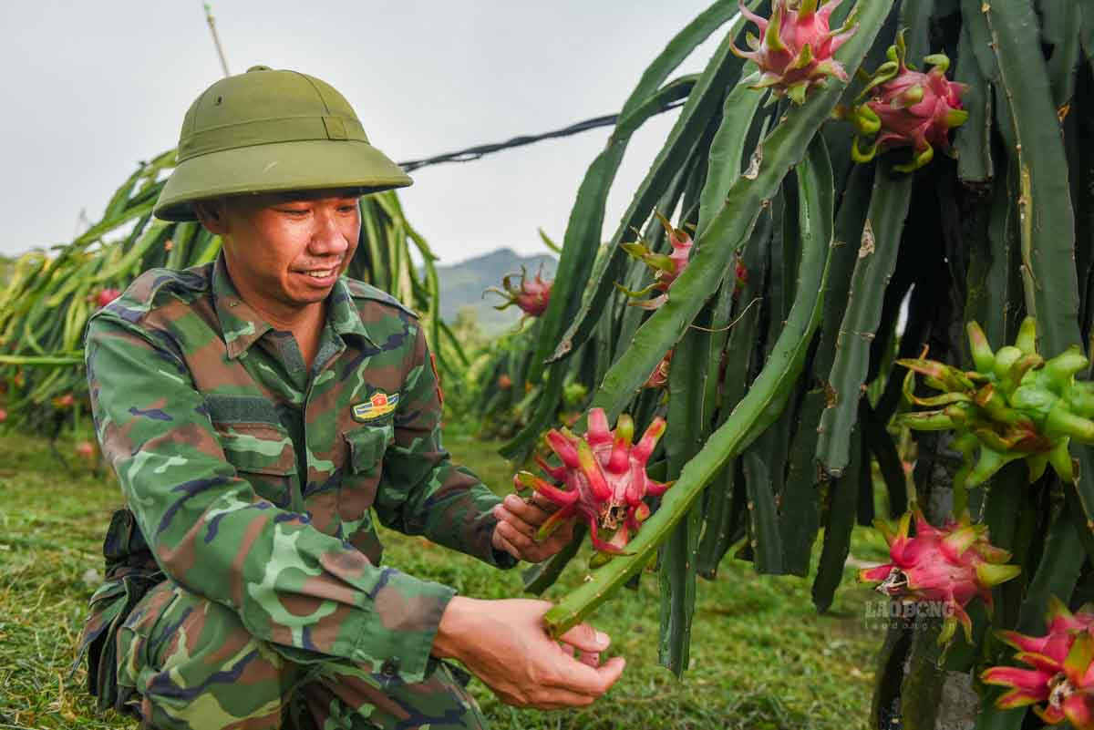 Nguoi mo loi la anh Do Dai Tuan (sinh nam 1987), khi manh dan dua giong thanh long ve Dong Yen nam 2008.