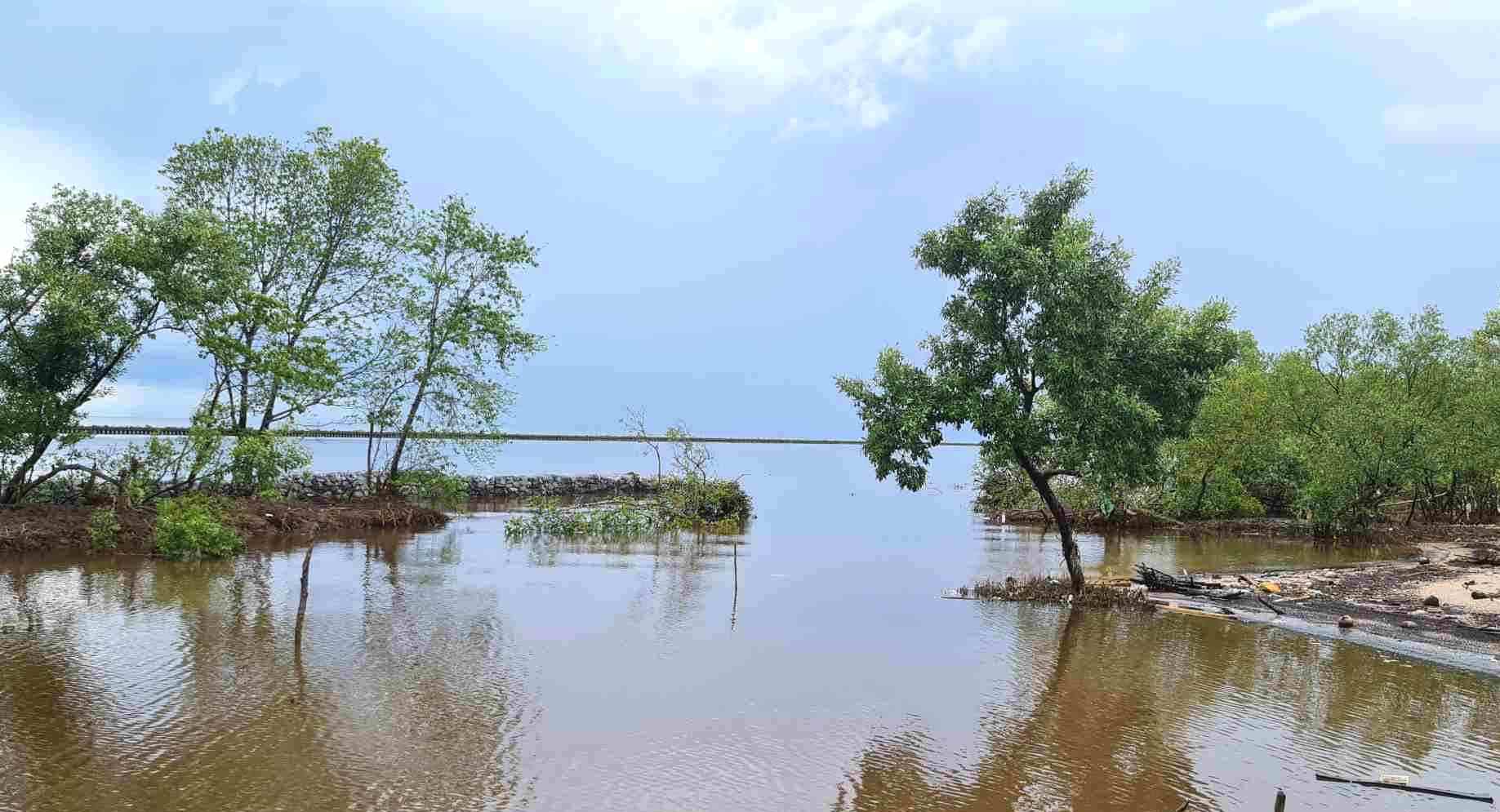 Truoc tinh hinh trieu cuong dang cao UBND tinh Ca Mau chi dao tang cuong cac bien phap ung pho. Anh: Nhat Ho