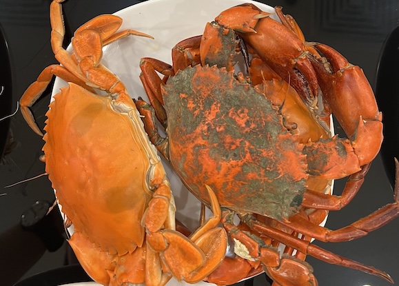 Le melon de mer est l'une des bonnes sources de calcium. Photo : Kieu Vu